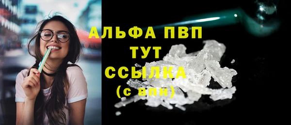 спиды Аркадак