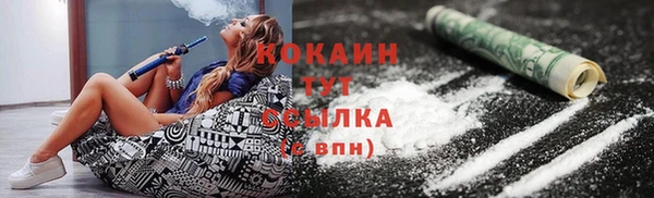 mdpv Краснослободск