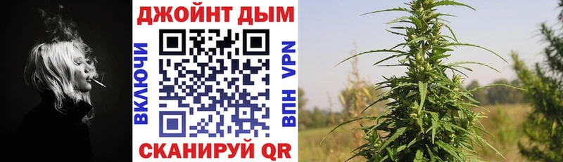 Бошки марихуана SATIVA & INDICA  наркотики  Заволжье 
